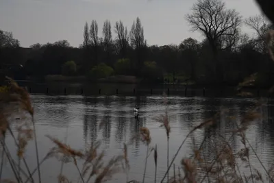 DSC_6888 (Large).JPG